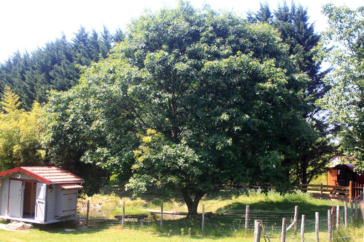 Tente Trappeur Ada, Au Jardin De La Vouivre Saint-Vincent-en-Bresse Exterior photo