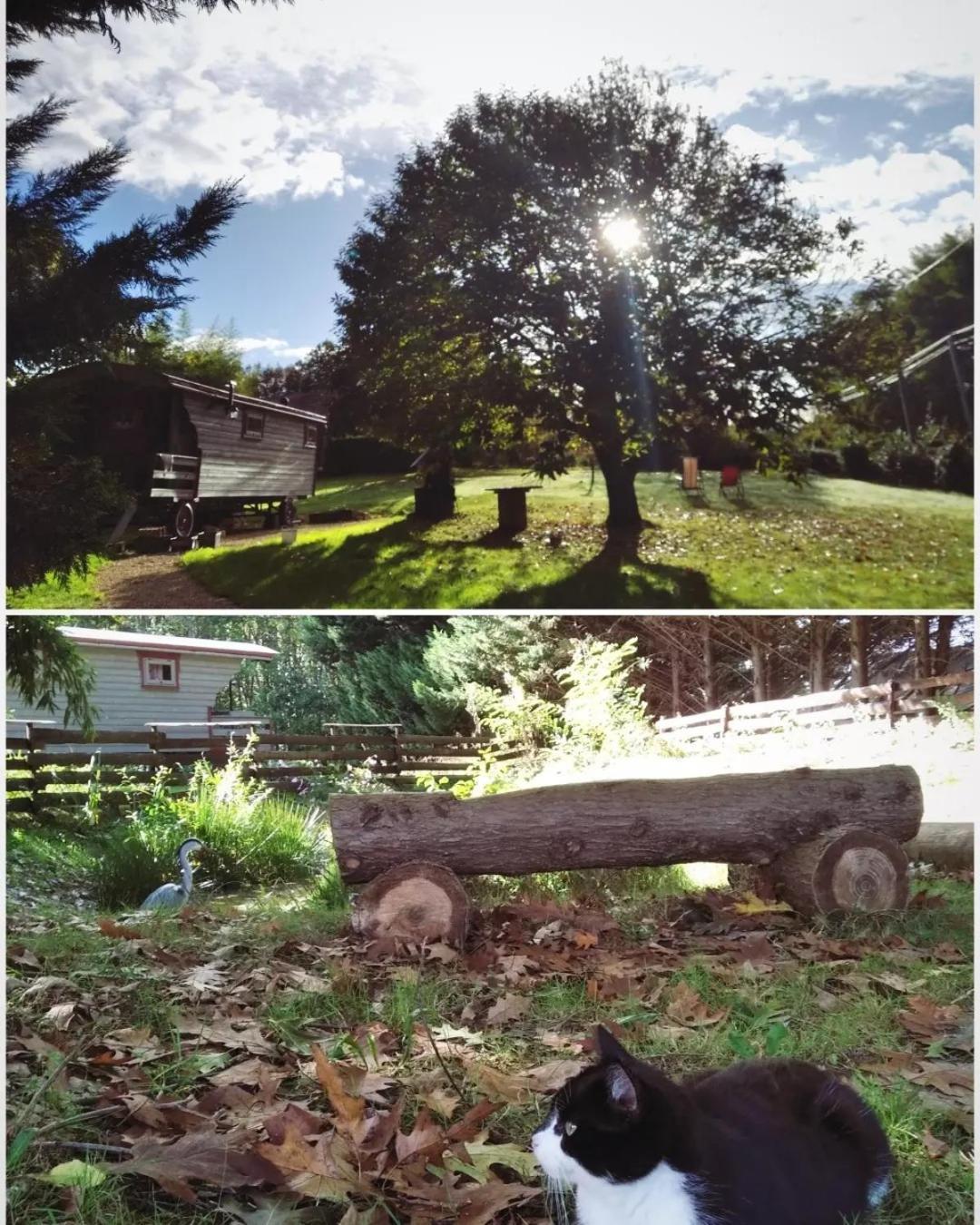 Tente Trappeur Ada, Au Jardin De La Vouivre Saint-Vincent-en-Bresse Exterior photo