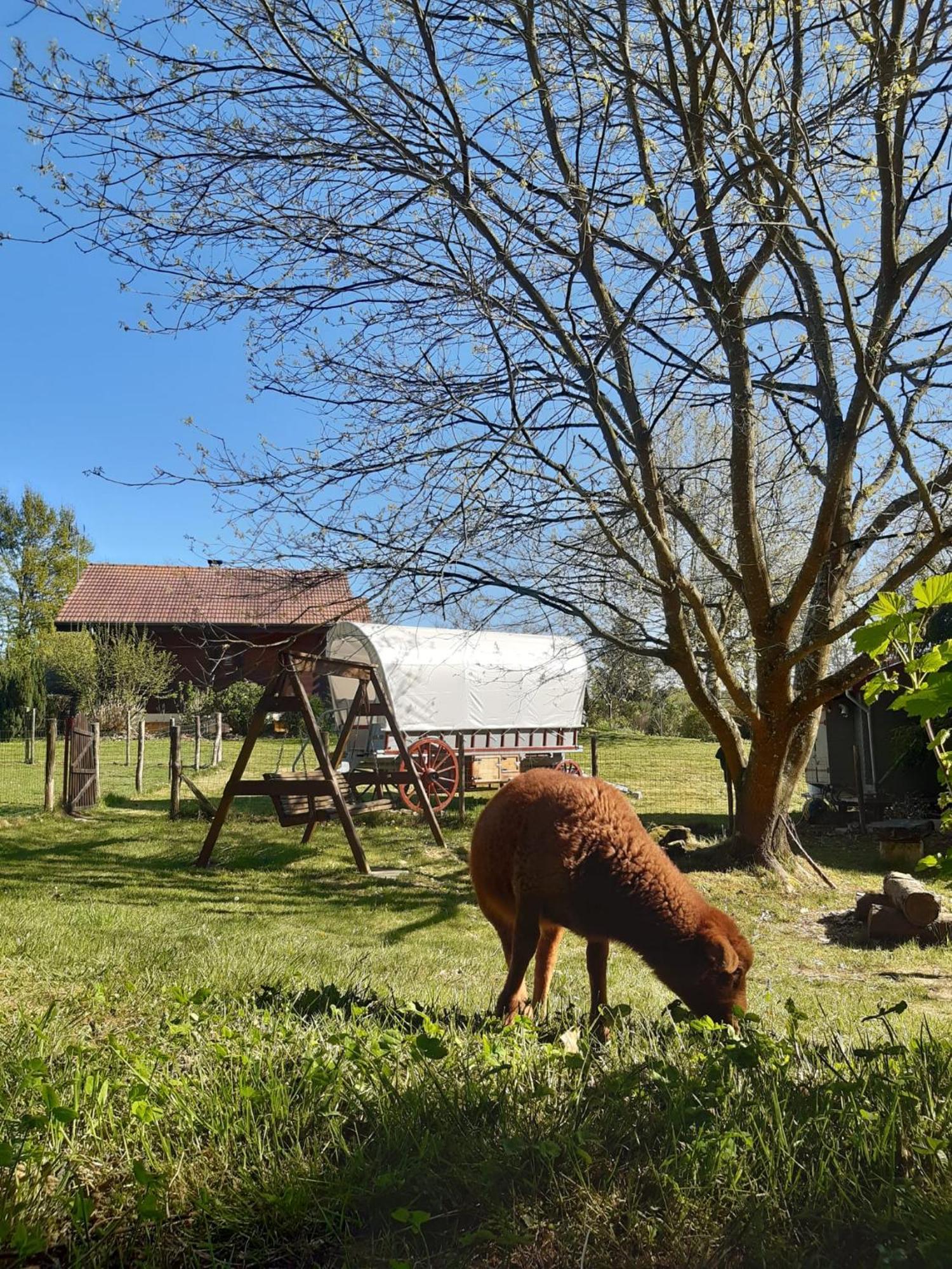 Tente Trappeur Ada, Au Jardin De La Vouivre Saint-Vincent-en-Bresse Exterior photo